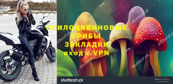 прущие грибы Арсеньев