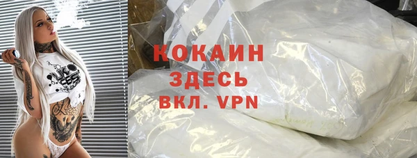 прущие грибы Арсеньев